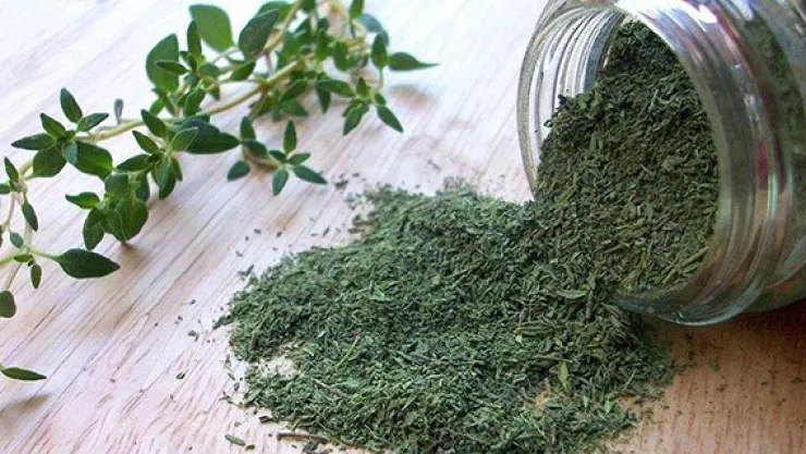 'İlaç üreticileri Türk kekiğini kullanmak zorunda'