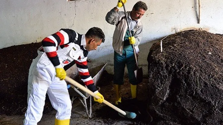 Özel güvenlikti, solucan gübresi üretmeye başladı