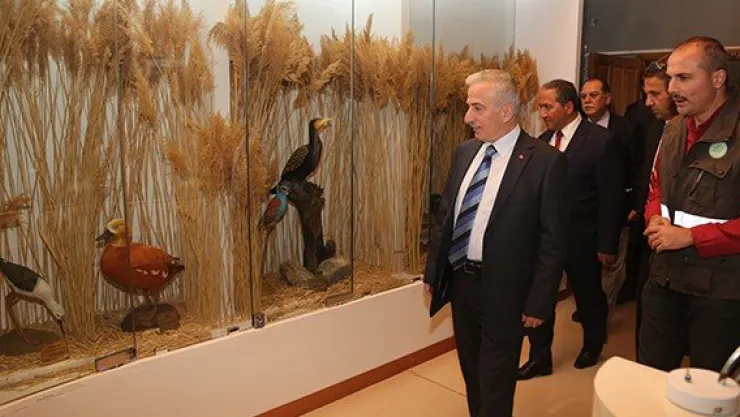 Vali Kamçı Sultan Sazlığın'ı inceledi