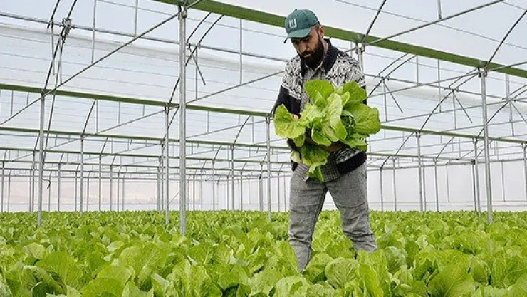 Genç Çiftçi Projesi meyvelerini verdi