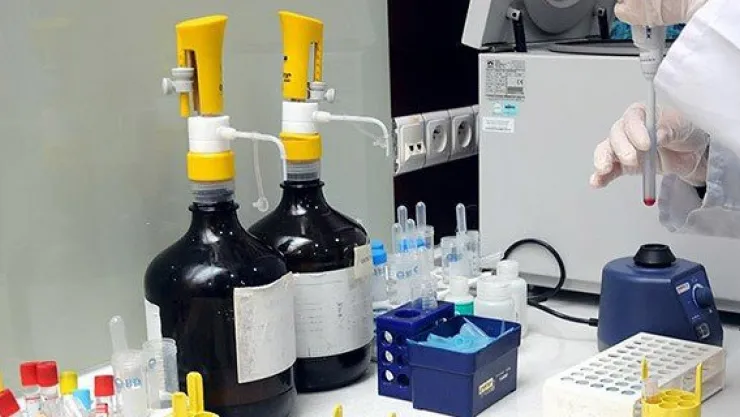 Kemik iliği naklinde 4. sıradayız