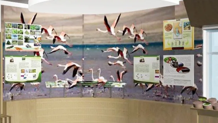 Ömerhacılı'ya Kuş Müzesi ve doğa eğitim merkezi kuruluyor