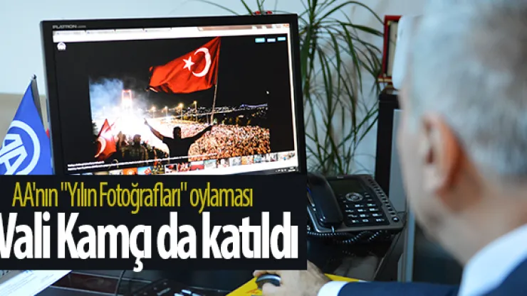 AA'nın &quotYılın Fotoğrafları" oylaması