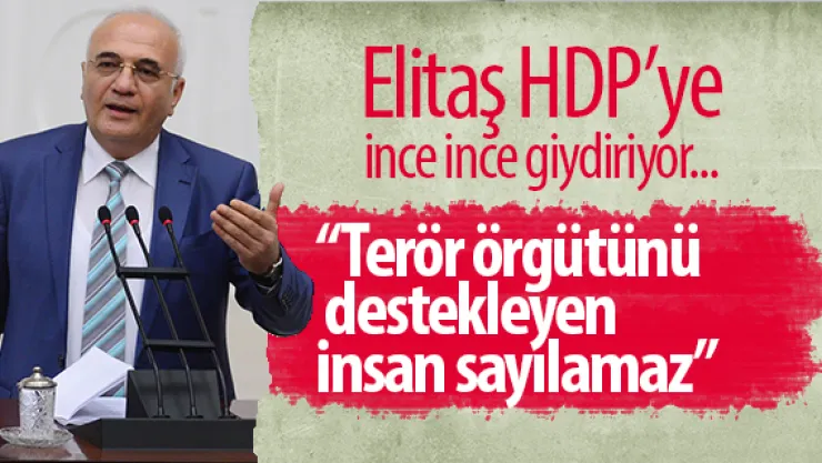 Elitaş HDP'ye ince ince giydiriyor...