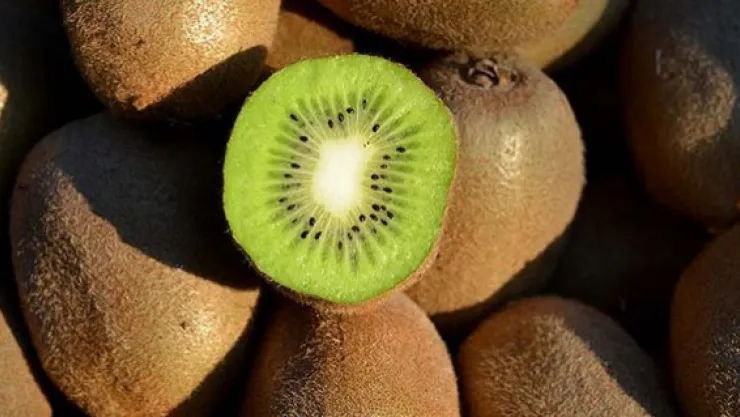 Günde en az 2 kivi tüketilmeli!