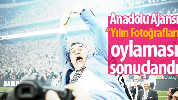 AA'nın 'Yılın Fotoğrafları' oylaması sonuçlandı