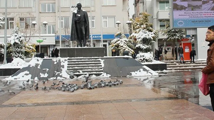 Cebindeki son parasıyla güvercinleri doyurdu