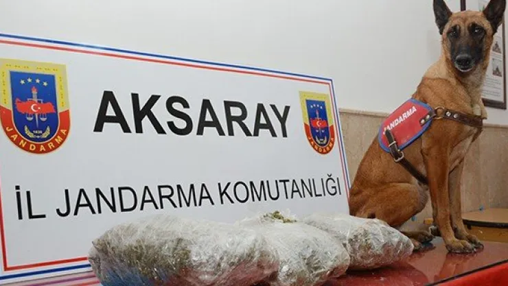 Esrar kaçakçıları yakayı ele verdi