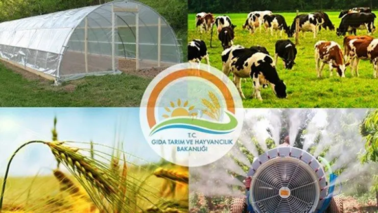 Genç Çiftçi Projesi yüzleri güldürdü