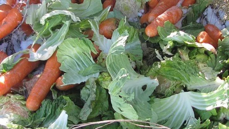 Pınarbaşı'da yaban hayvanları için yemleme çalışması