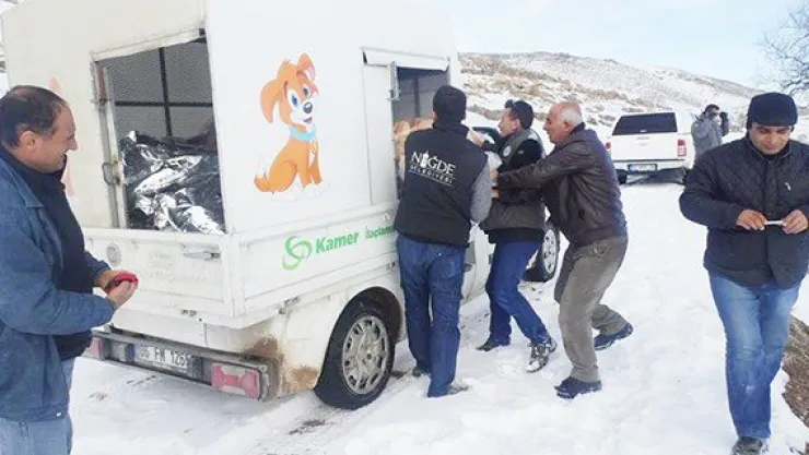 Yaban hayatına destek sürüyor