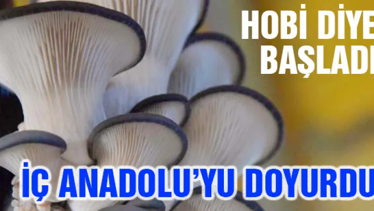 HOBİ DİYE BAŞLADI, İÇ ANADOLUYU DOYURDU