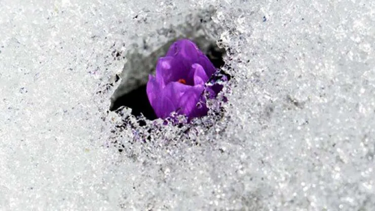 İlk cemre yarın düşüyor