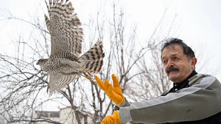 Serçe avlarken kümeste mahsur kalan atmaca kurtarıldı