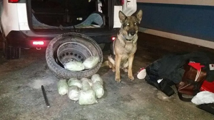 Uyuşturucu zanlıları 'Sedef'ten kaçamadı