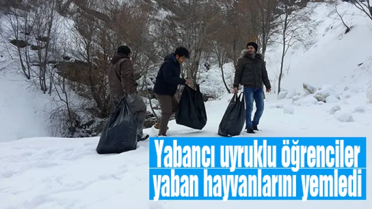 Yabancı uyruklu öğrenciler yaban hayvanlarını yemledi