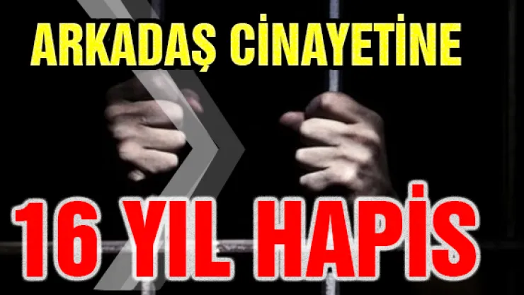 Arkadaş cinayetine 16 yıl hapis 