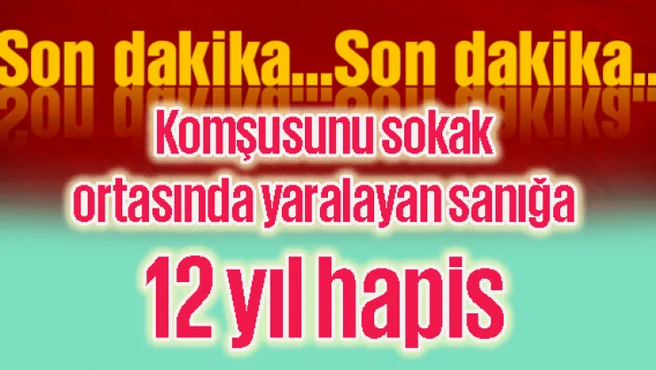 Komşusunu sokak ortasında yaralayan sanığa 12 yıl hapis