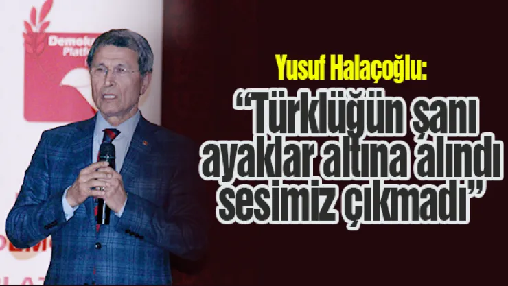 'Türklüğün şanı ayaklar altına alındı sesimiz çıkmadı'