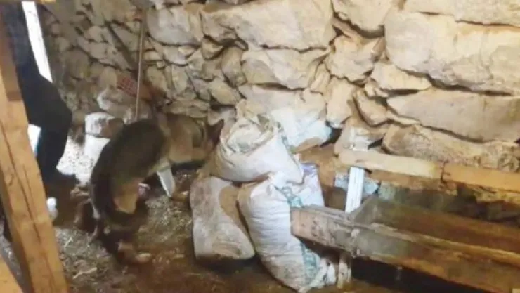 Uyuşturucu operasyonu: 3 gözaltı