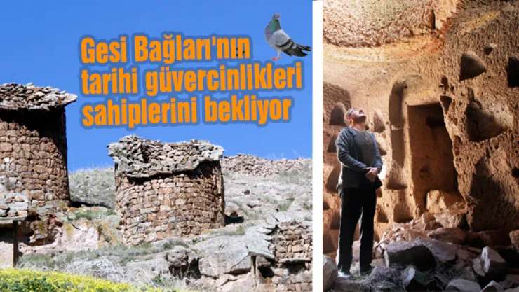 Gesi Bağları'nın tarihi güvercinlikleri sahiplerini bekliyor