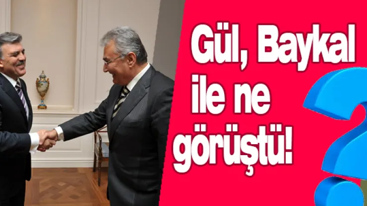 Gül Baykal ile ne görüştü!