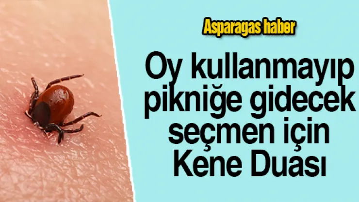 Oy kullanmayıp pikniğe gidecek seçmen için Kene Duası