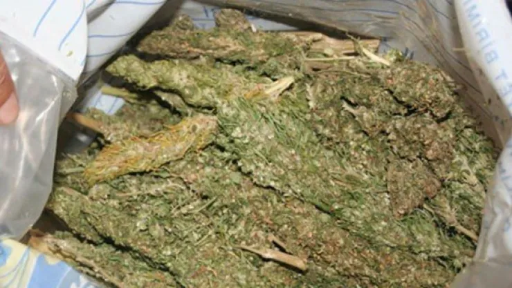 9 kilo esrar ile yakalanan 3 sanığa 13'er yıl hapis