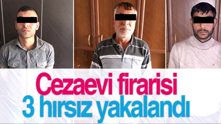 Cezaevi firarisi 3 hırsız yakalandı