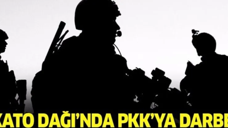 Kato Dağı'nda 53 PKK'lı öldürüldü