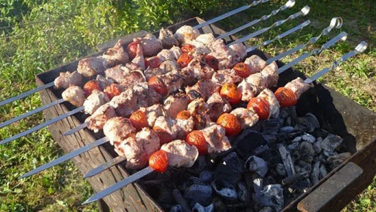 Mangal ve mantar zehir olmasın!