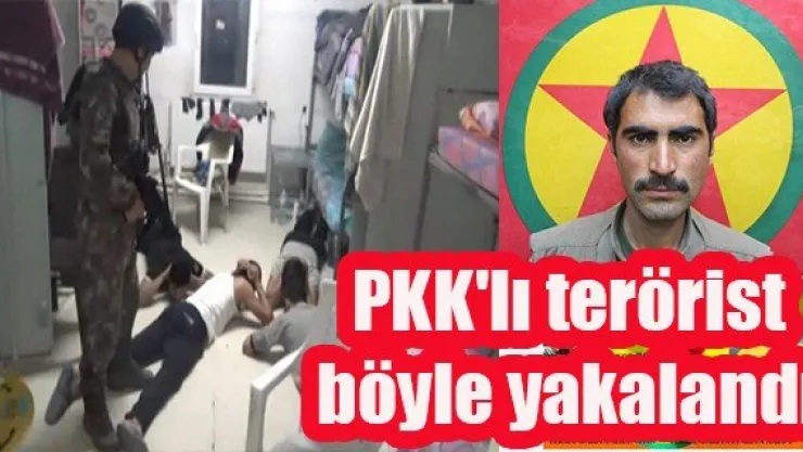 PKK'lı terörist böyle yakalandı
