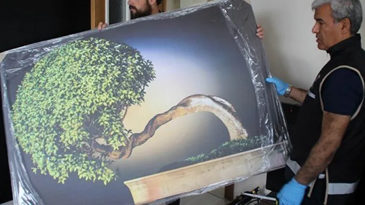 Saksıda Hint keneviri, duvarda bonzai ağacı tablosu