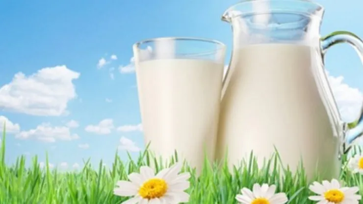 Süt sektörü, vazgeçilmez bir konumda