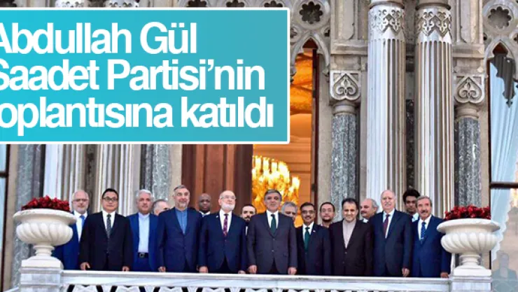 Abdullah Gül Saadet'in organize ettiği D-8'e katıldı