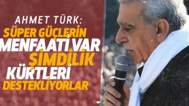 Ahmet Türk: Menfaatleri var, Kürtleri destekliyorlar