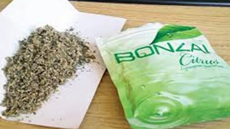 Bonzai satıcısını tanıklar ele verdi, 15 yıl yedi