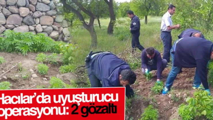 Hacılar'da uyuşturucu operasyonu: 2 gözaltı