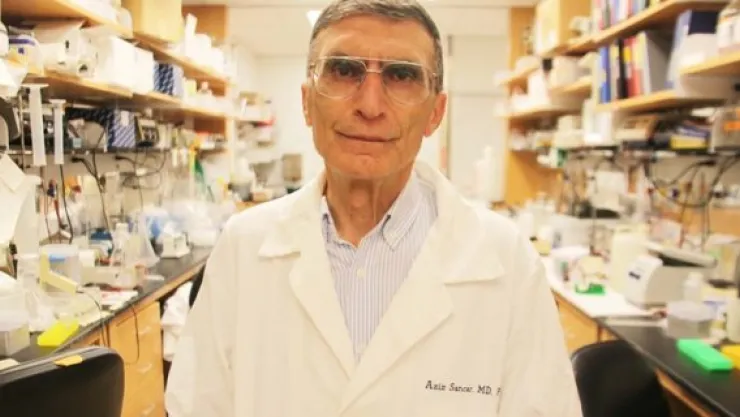 Yeni müfredatta Evrim yer almayacak!