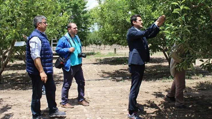 Bahçe zararlılarına karşı böcek salımı başladı