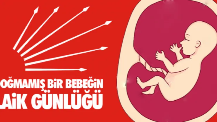DOĞMAMIŞ BİR BEBEĞİN LAİK GÜNLÜĞÜ