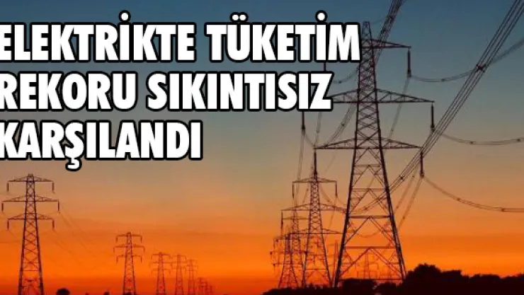 Elektrikte tüketim rekoru sıkıntısız karşılandı