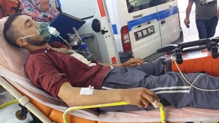 Yılanın soktuğu çiftçi hastanelik oldu