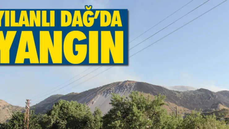 Yılanlı Dağ'da yangın