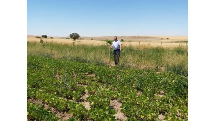 Genç Çiftçi Proje ziyaretleri sürüyor