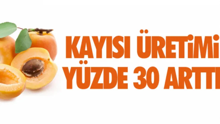 KAYISI ÜRETiMi YÜZDE 30 ARTTI
