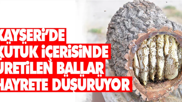 KAYSERi'DE KÜTÜK iÇERiSiNDE ÜRETiLEN BALLAR HAYRETE DÜŞÜRÜYOR