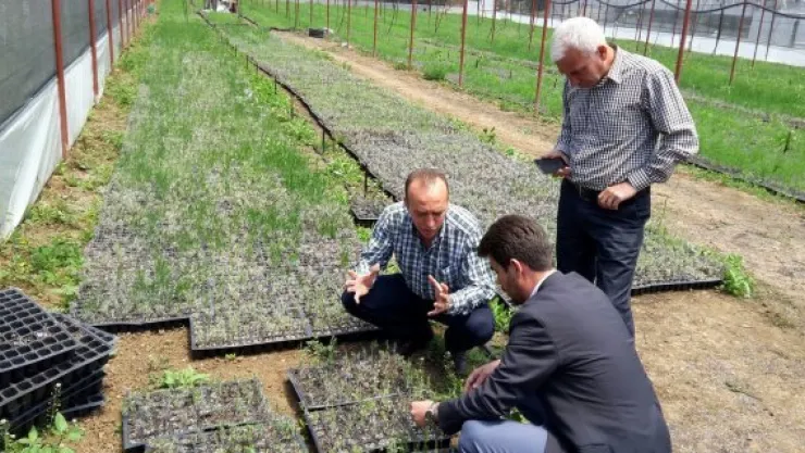 Lavanta ve salep çiftçinin yüzünü güldürecek
