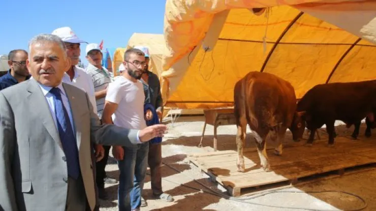 Melikgazi'de kurban pazarı hazır