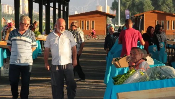 Organik sebze hobisi ekmek tekneleri oldu